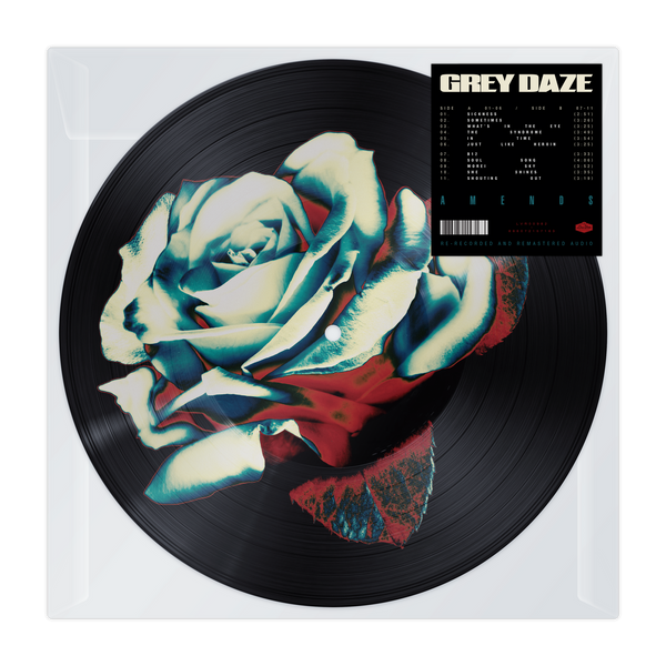 AMENDS PICTURE DISC 2
