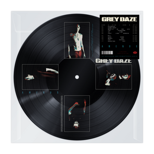 AMENDS PICTURE DISC 2